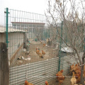 Verzinkter Stahlgeschweißnetz für Hühnerkäfige